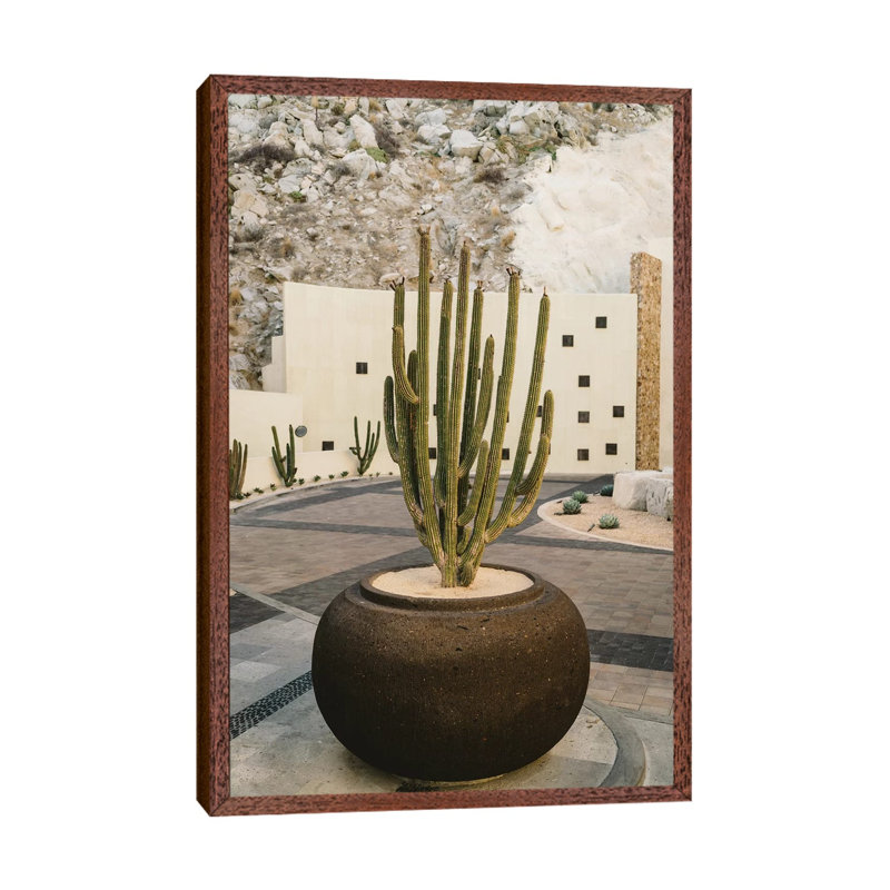 Cabo Cactus VIII 1 Piece Wall Art on Canvas, 152.4cm H x 101.6cm W x 3.81cm D, Classic Brown Wood Framed