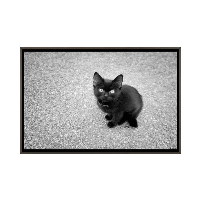 « Just a baby » par Ben Heine-impression d’art graphique, Pas de tapis, H 18 po x l 26 po x P 1,5 po