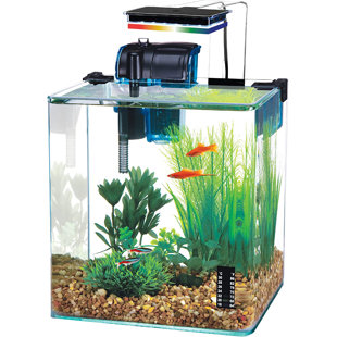 Small Fish Tank 2 Gallon Glass Aquarium Starter Kits Self Cleaning  w/Colorful LED Light for Betta Shrimp Guppy Jellyfish Goldfish Beta,Room  Decor