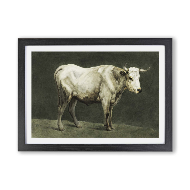Beauty of A Bull - Framed Print, 33cm H x 45cm W x 2cm D, Black