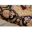 Bilbrey Wool Oriental Indoor Rug