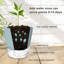 Ensemble de 6 pots à fleurs, pots de fleurs à arrosage intérieur / extérieur, arrosage automatique avec trou de drainage et réservoir de soucoupe transparent