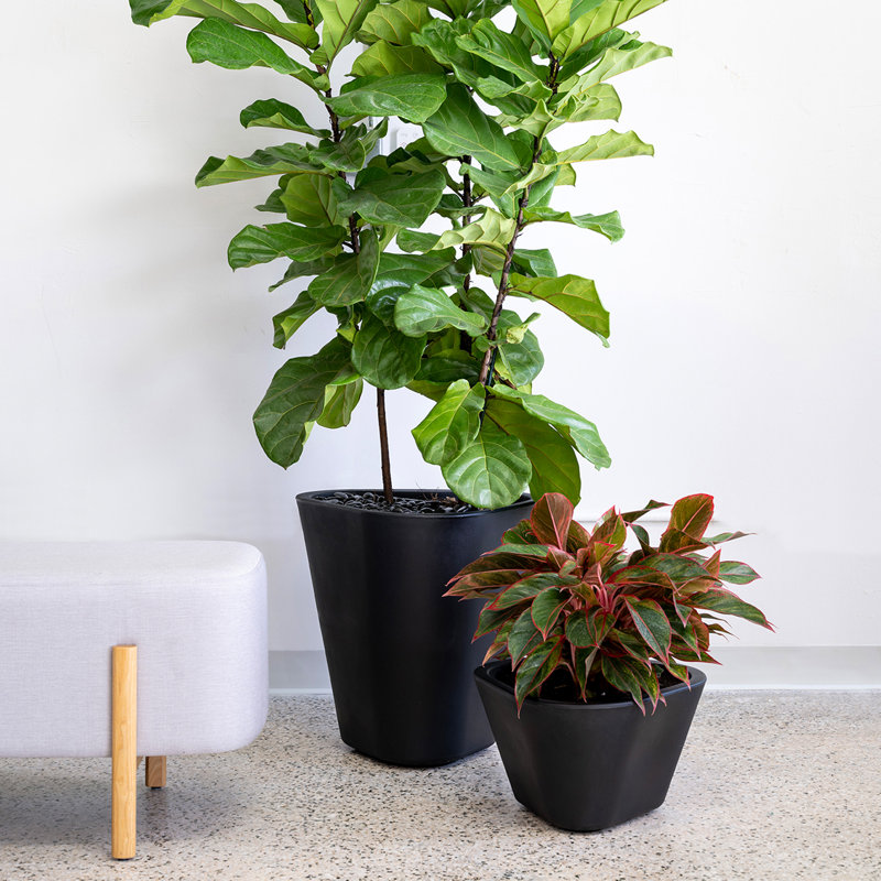 Calliope Pot Planter, 9.8" H x 16.6" W x 15.75" D, Black