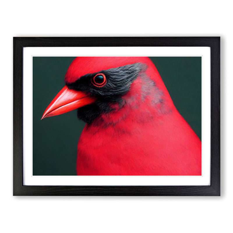 Cardinal Bird Vol.17 - Single Picture Frame Print, Black Framed, 46cm H x 64cm W x 2cm D