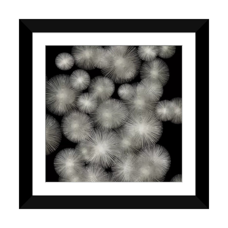 « silver soleil burst », impression sur toile tendue, H 16 po x l 16 po x P 1 po, Papier avec cadre noir, Blanc