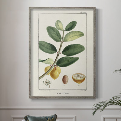 «Turpin Tropical Botanicals», reproduction encadrée en bois massif