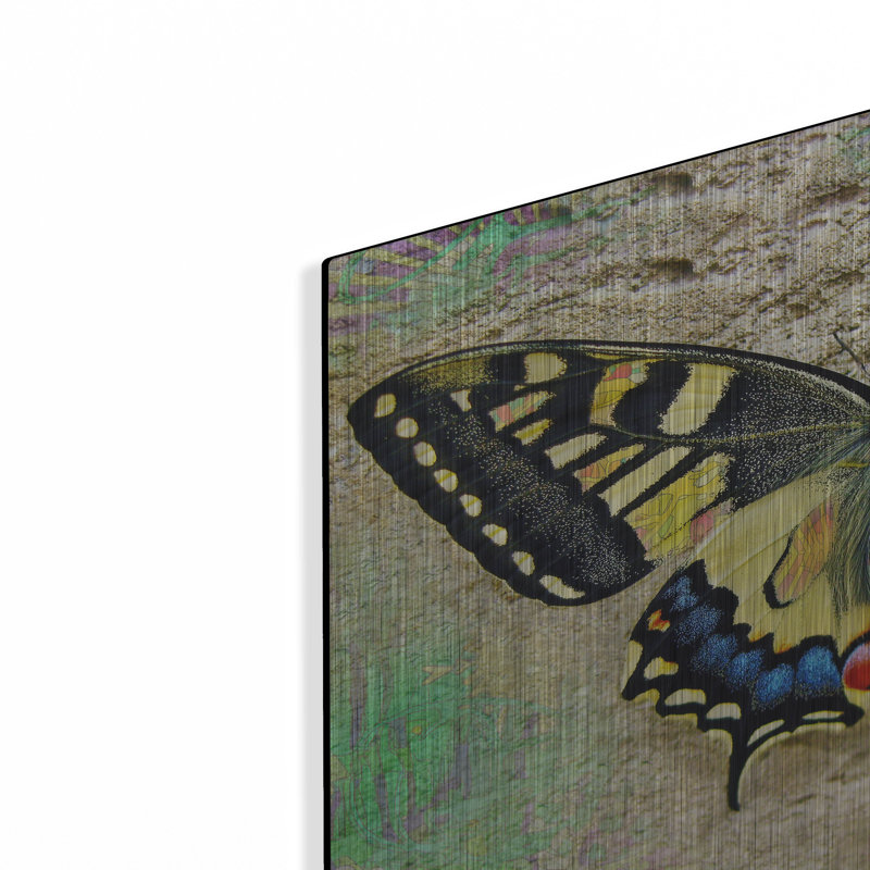 «Exposed Butterfly» par Dean Russo sur, H 16 po x l 24 po
