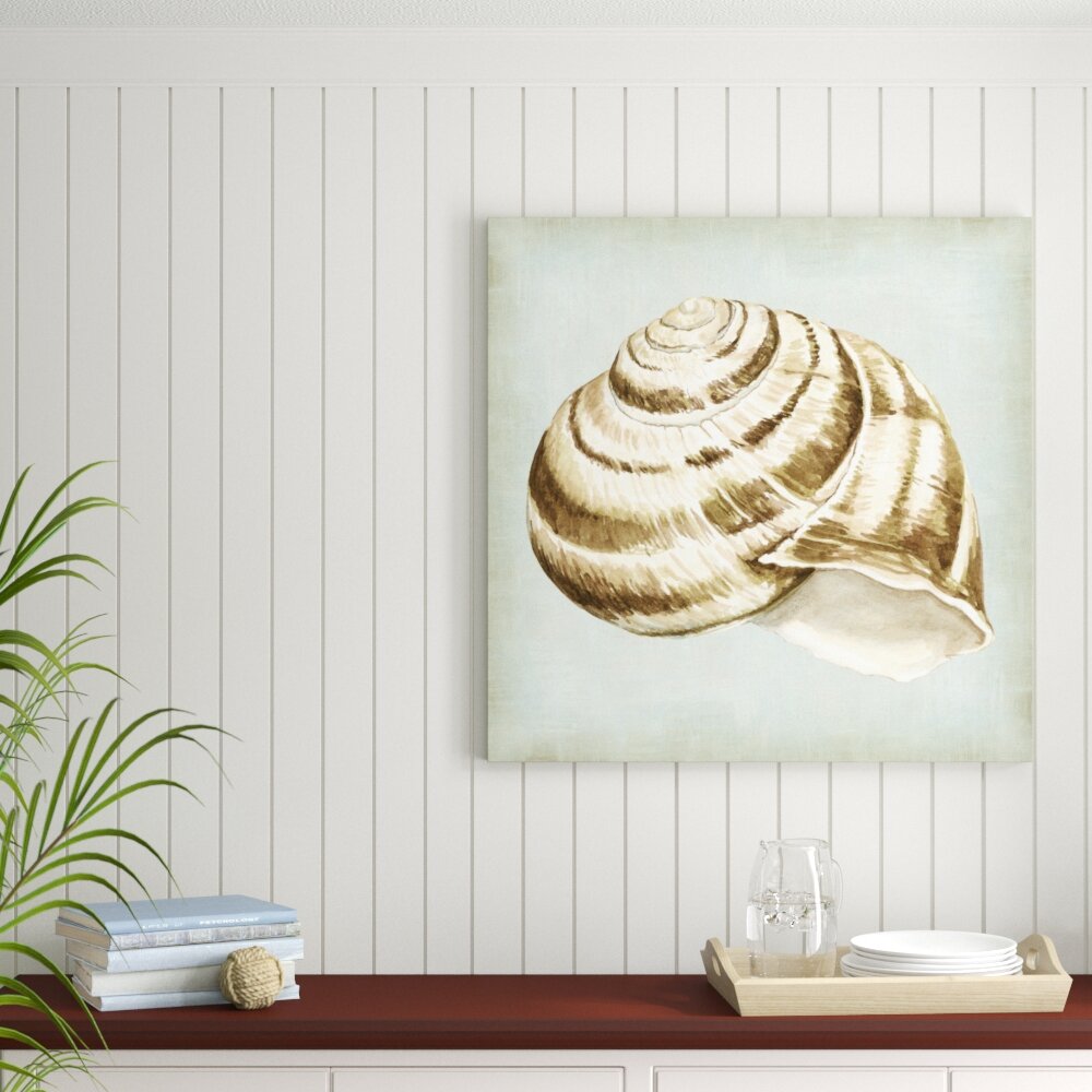 Leinwandbild Sea Dream Shells I von Vision Studio