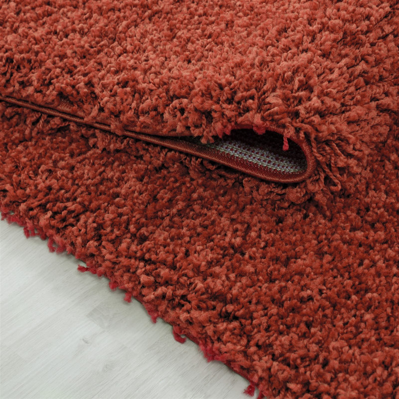 Tapis en polypropylène tissé à la machine Dolley, Rectangle 6 pi 7 po x 9 pi 6 po
