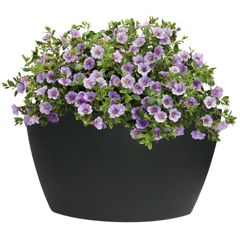 Corner Plastic Pot Planter, Black