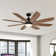 Jaysleen 60" Farmhouse Large Windmill Ceiling Fan with Light and Remote