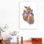 «Heart Anatomy III» - reproduction-52366187-52366188