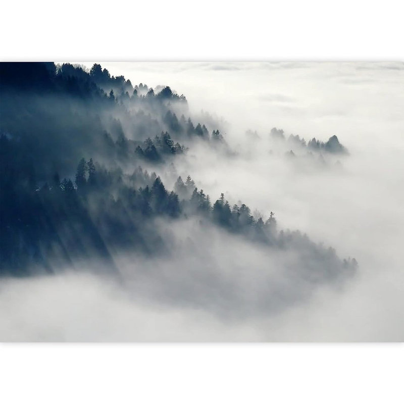 Murale Misty Mountain Forest Range, L 66 po x l 96 po