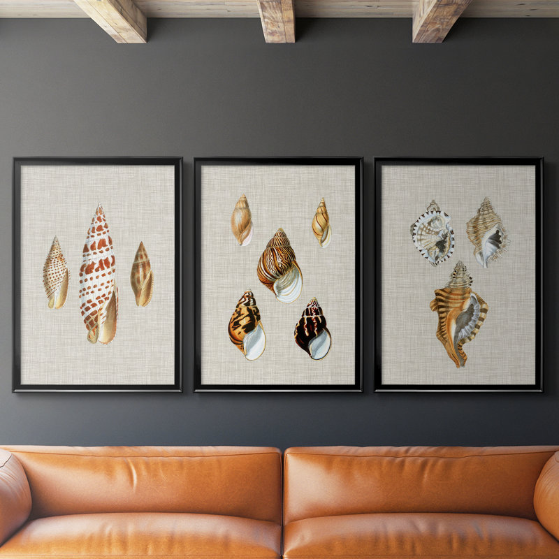 Coquilles antiques sur toile de lin I - Toile tendue avec châssis sur mesure - 3 pièces, Noir, noir, noir, noir