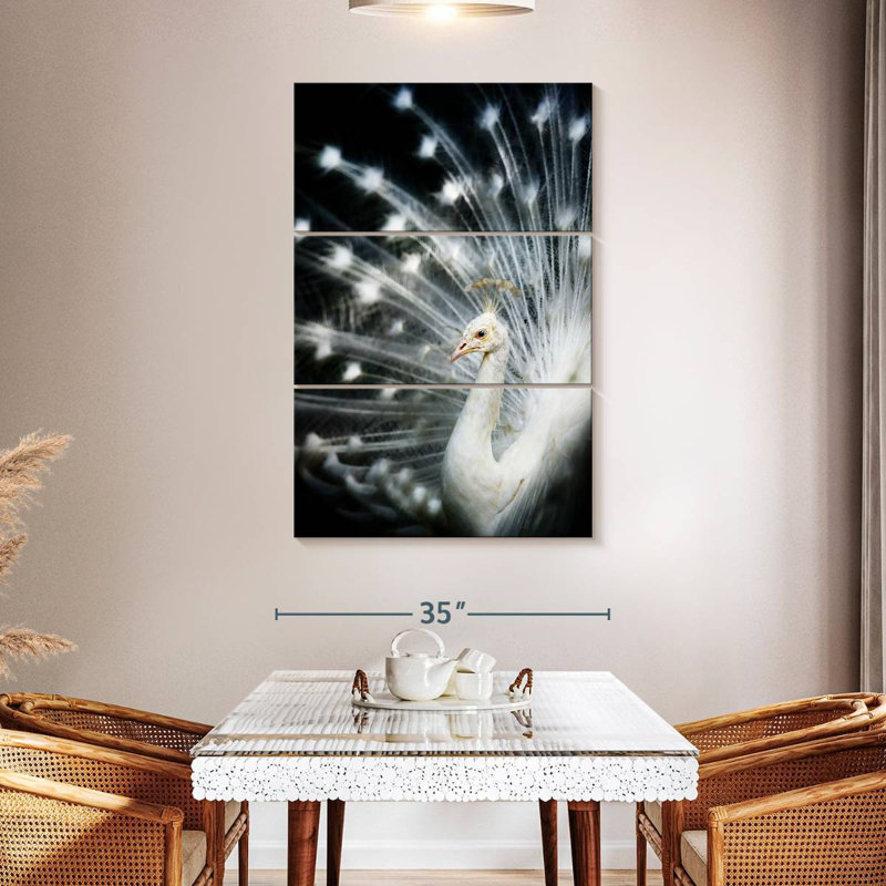 Brampt Rare White Peacock, 50" H x 32" W