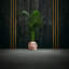 Handmade Pot Planter-52454978