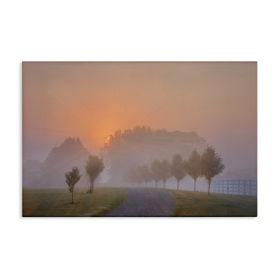 «Grove Path at Sunset» par Marty Hulsebos