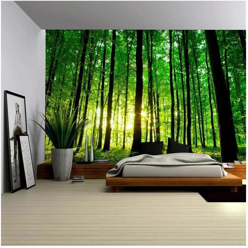 Soleil qui brille à travers un grand arbre, peinture murale forêt, L 66 po x l 96 po