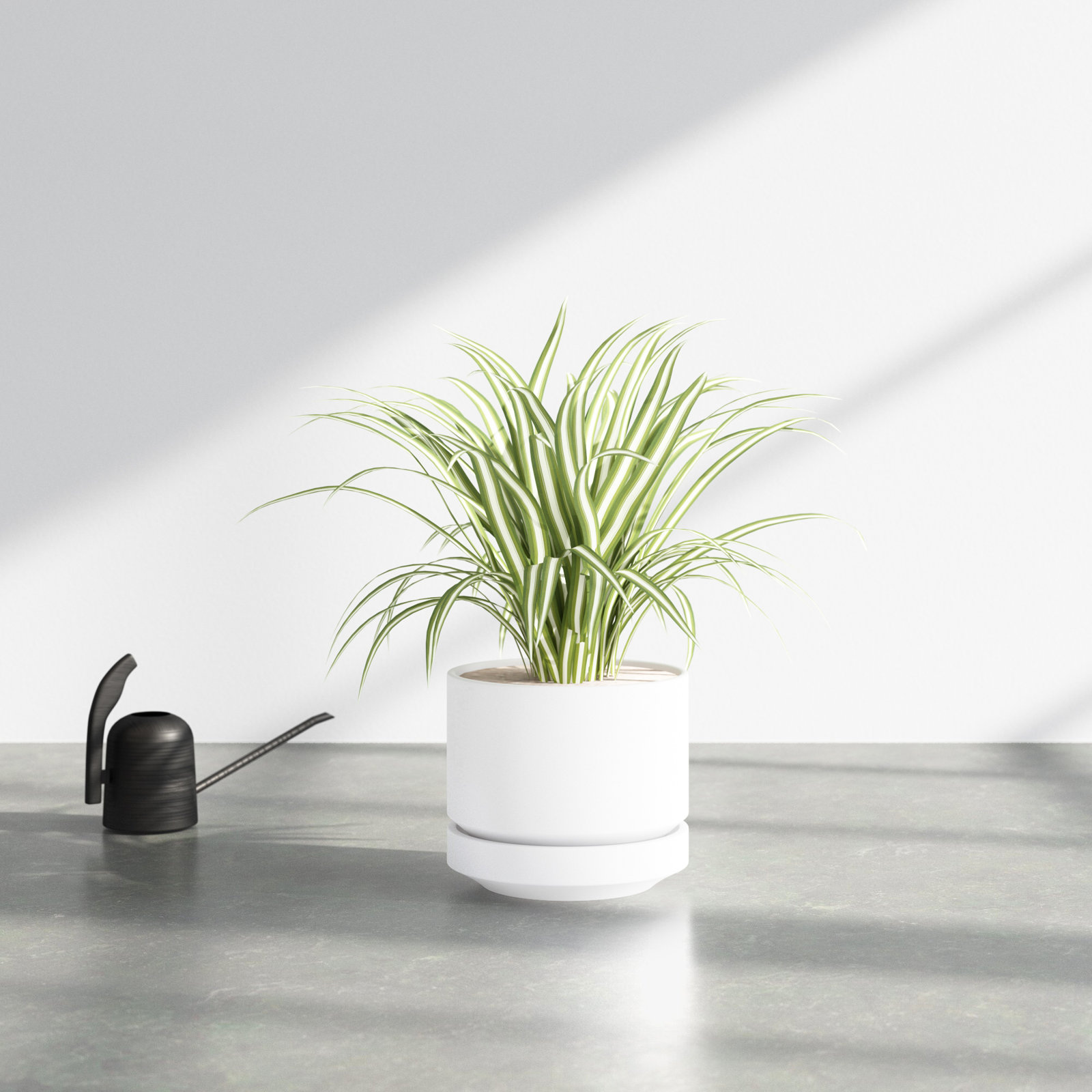 Byer 10" Ceramic Pot Planter, White, 7.5" H x 8.75" W x 8.75" D