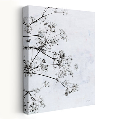 Minimalist Queen Annes Lace II
