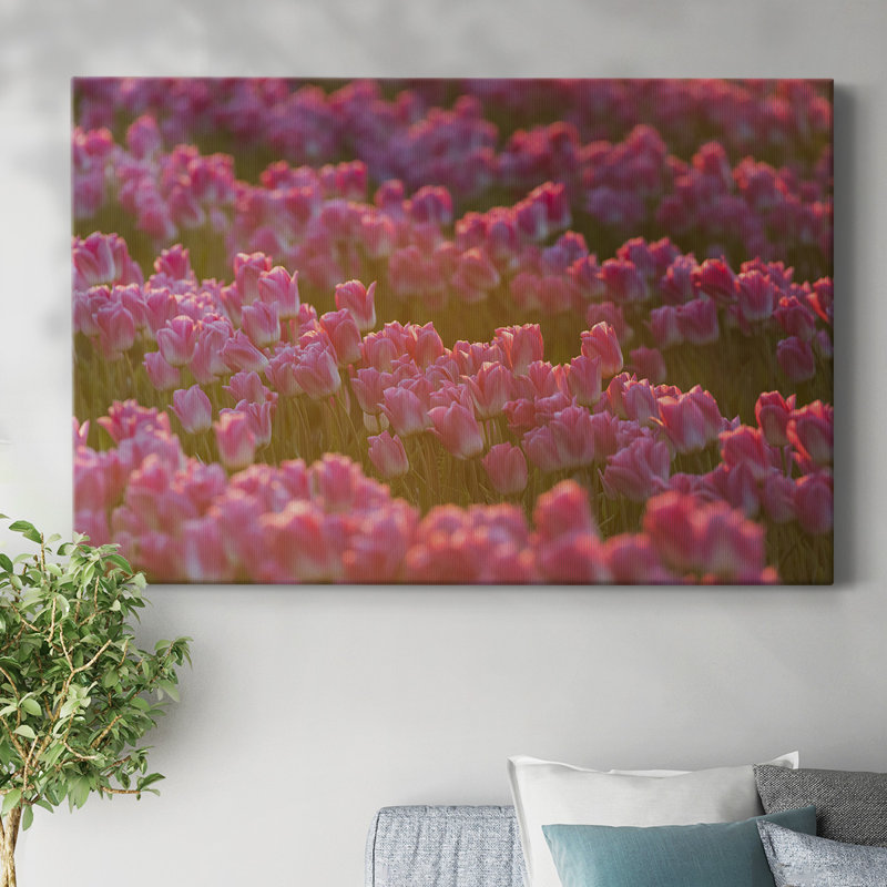 Field of Tulips I-Gallery, toile tendue, H 12 po x l 18 po