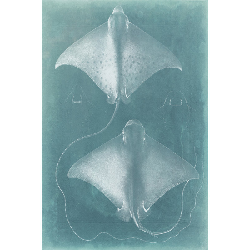 Morning Swim I 1 Piece Painting on Canvas, 46cm H x 30cm W