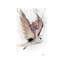 Heart Winged Owl by Ashvin Harrison - Wrapped Canvas Print-1089236637