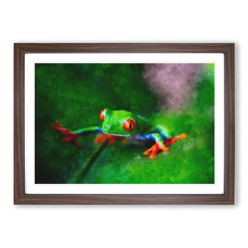 Tree Frog Vol.1 - Picture Frame Graphic Art, 48cm H x 65cm W x 2cm D, Walnut