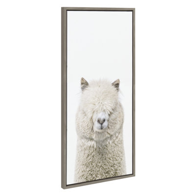 Alpaca Fluff by Amy Peterson Framed Canvas Wall Art Print