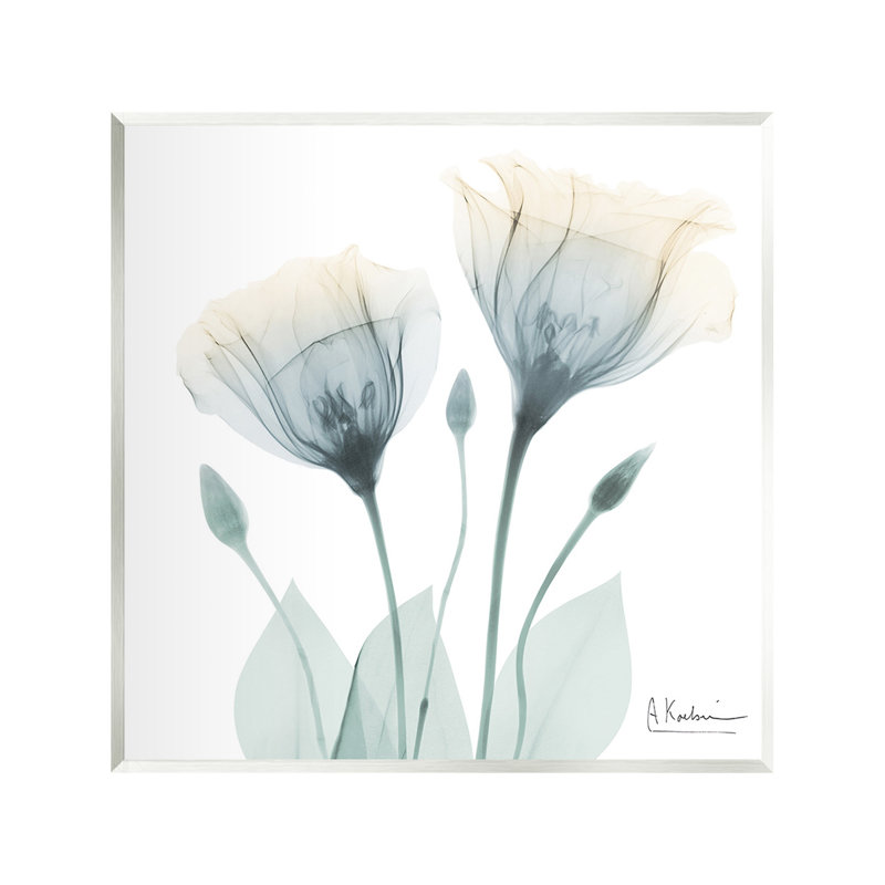 Art mural tulipe opaque par Albert Koetsier