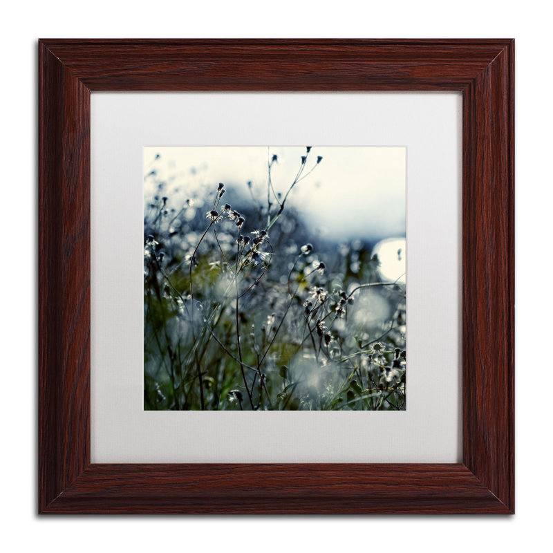 «In Silence» par Beata Czyzowska Young, reproduction de photo encadrée, H 11 po x l 11 po, Brun
