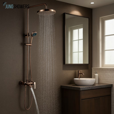 Pomme de douche murale Smart