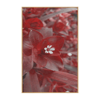 Indoor Rug