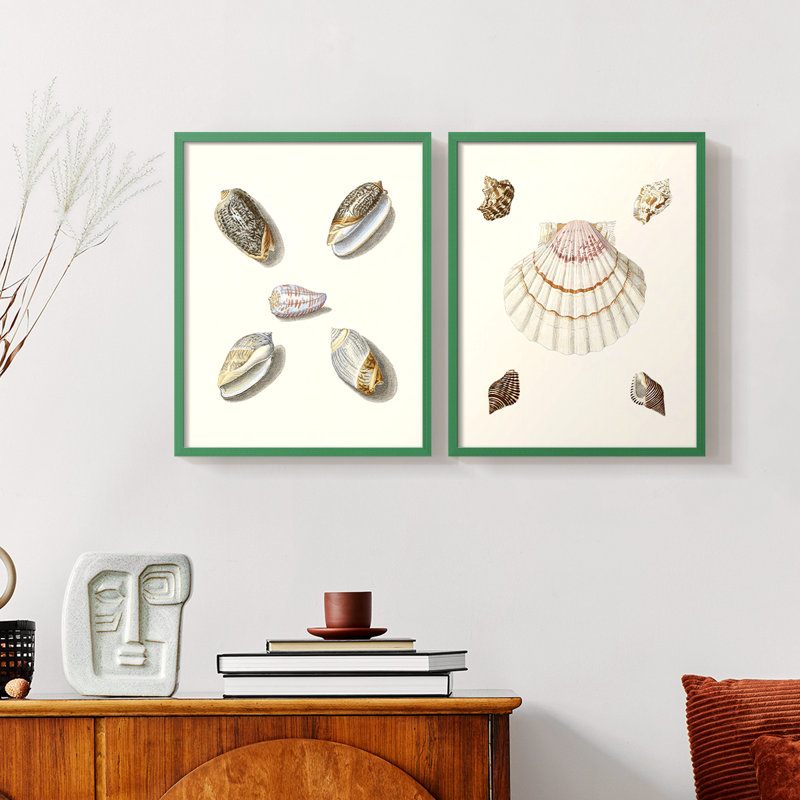 Pastel Knorr Shells III - reproduction encadrée de qualité supérieure - prête à être accrochée - aucun clou requis - aucun clou requis