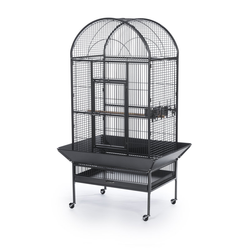 Grande cage à oiseaux Brewington