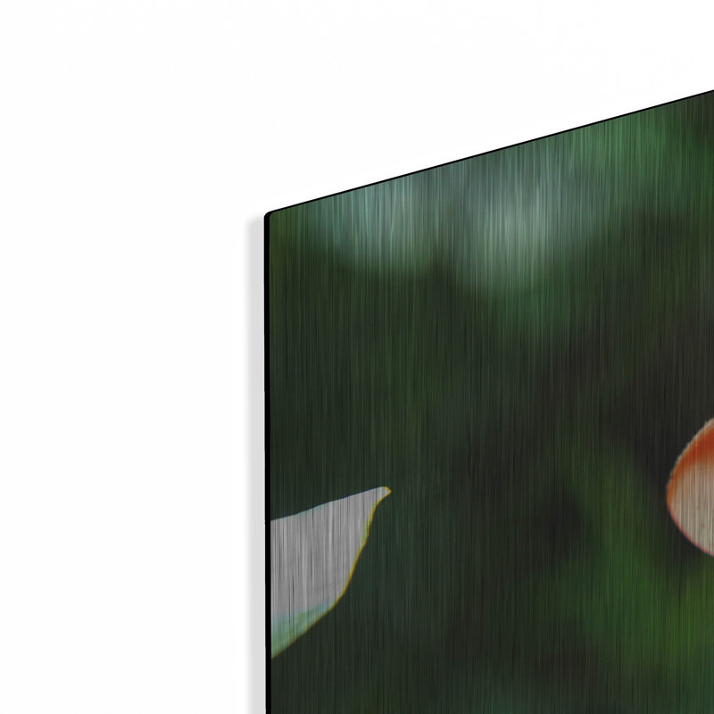 «Fungus 2» par Dana Brett Munach, H 16 po x l 24 po