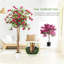 Bougainvillée artificiel avec pot blanc-604308833