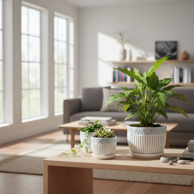 Ceramic Planter