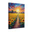 Paysage et nature, champ de tournesols, chemin, coucher de soleil, ciel, grange, arbres-709011098