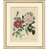 Pink Roses II Painting