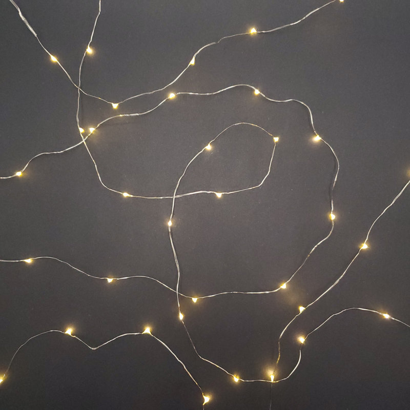 Battery Operated LED Fairy String Lights - 2 Count, Warm White