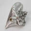 2" Conch Shell Right Facing Knob-39948747