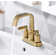 Dayani Centerset 2-handle Bathroom Faucet with Drain Assembly