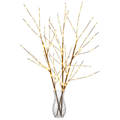 Holiday Lighting