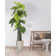 Artificial Elephant Ear Tree In A Shell Designed Fiberstone Planter