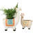 Rolen Ceramic Statue Planter