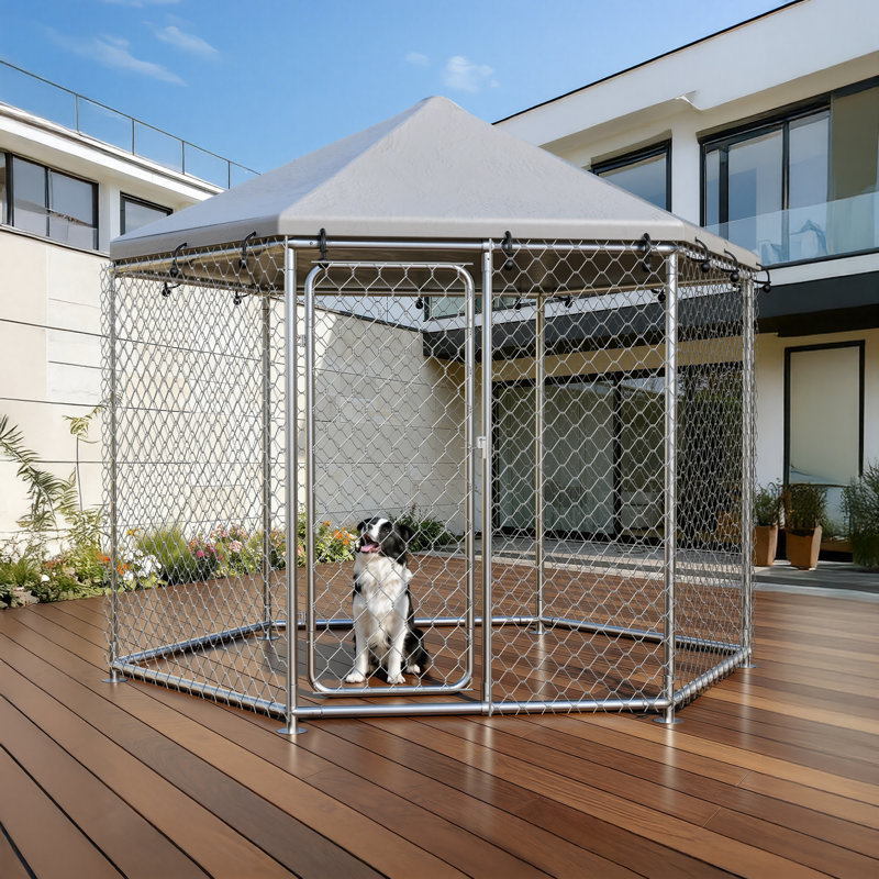 Chenil d'extérieur pour chien, chenil robuste avec verrou sécuritaire, toit hexagonal en acier inoxydable pour animal de compagnie