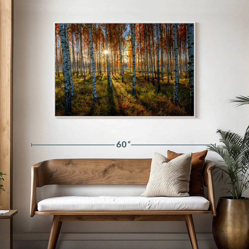 Forêt de bouleaux suédois, 46 po x 31 po, Cadre flottant blanc