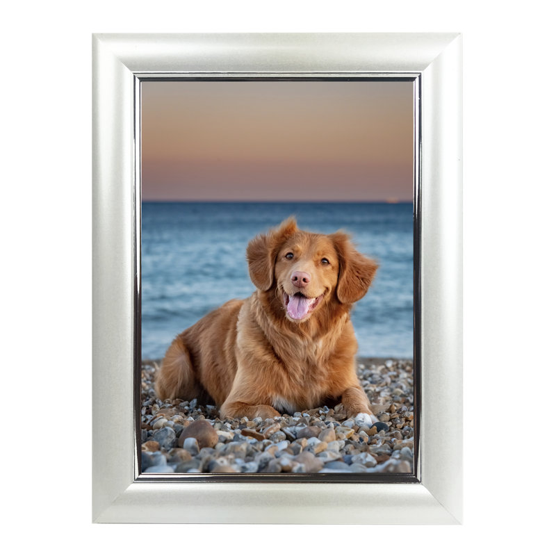 Ensemble de cadres photo en plastique, Perle blanche, 5 po x 7 po