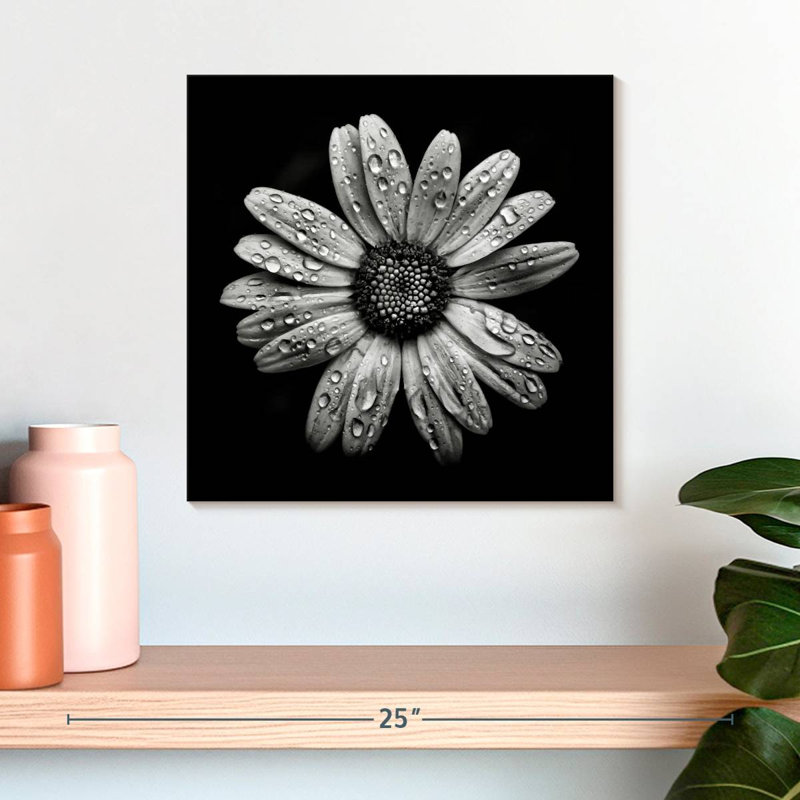 Harnek Backyard Flowers BW I, H 16 po x l 16 po